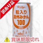 粒入り温州みかん100