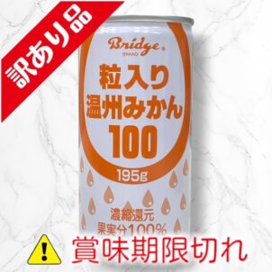 粒入り温州みかん100
