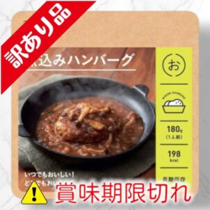 煮込みハンバーグ